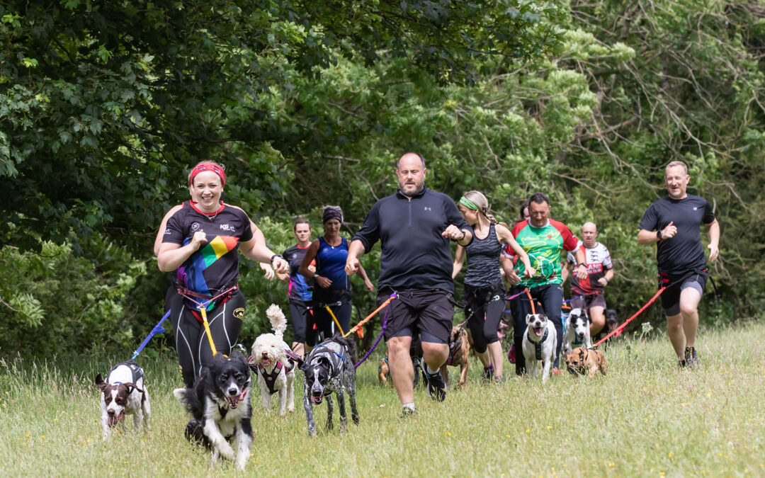 How to add Canicross Coaching to your Dog Walking or Training Business